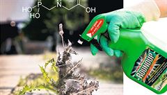 Herbicid Roundup způsobuje rakovinu, rozhodl americký soud. Akcie firmy Bayer padají