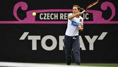 Tenistka Barbora Strýcová pi tréninku ped finále Fed Cupu, v nm eské...