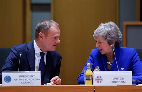Britská premiérka Theresa Mayová s Donaldem Tuskem na summitu EU.