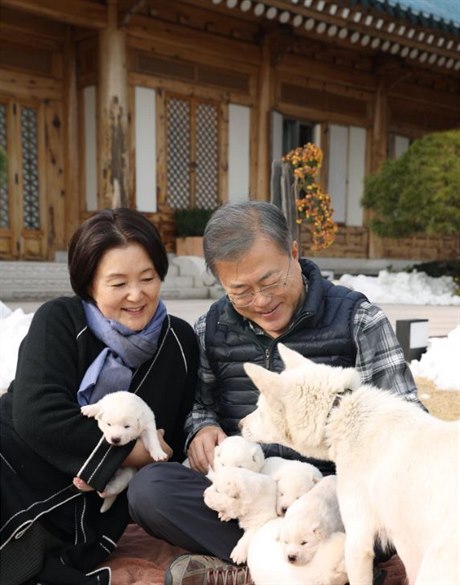 Jihokorejský prezident Mun Če-in přivítal do své „smečky“ šest nových štěňat.