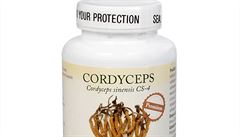 Cordyceps Premium