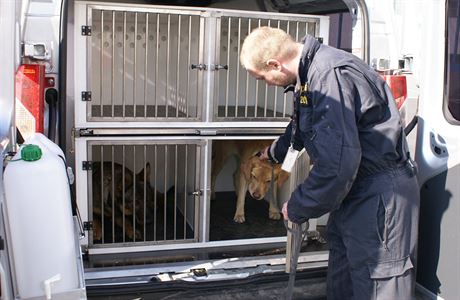 Policejní psi se vozí v opotřebených autech. Vedení pro ně nakoupí nová za  100 milionů | Domov | Lidovky.cz