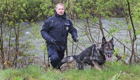 Policejní pátrání - ilustraní foto.