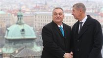 Český premiér Andrej Babiš se svým maďarským protějškem Viktorem Orbánem.