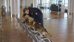 Policejní sluební pes pi práci na praském letiti.