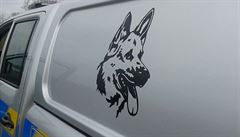 Detailní pohled na policejní vz Volkswagen Amarok pro pepravu sluebních ps.