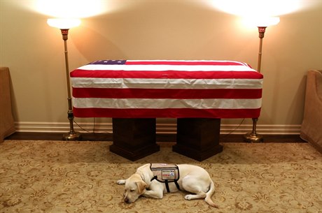 Mise skonena. Sully, asistenní pes amerického prezidenta George H.W. Bushe,...