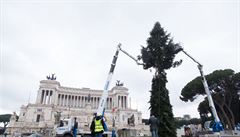 Loni mli ímané vánoní strom opelichaný, letos je zase olámaný