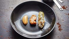 Ukázka jídla z restaurace Field: brzlík, celer, hlíva královská a rakytník.