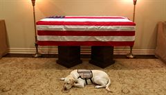 Mise skonena. Sully, asistenní pes amerického prezidenta George H.W. Bushe,...