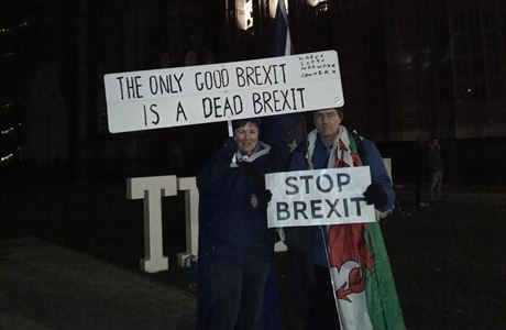 Lid v Londn protestovali proti Brexitu.