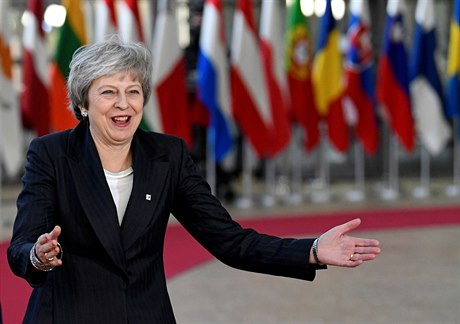 Britská premiérka Theresa Mayová dorazila na jednání Evropské rady.