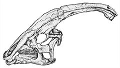 Býloravý svrchnokídový dinosaur rodu Parasaurolophus. (tpánka Tuková:...