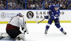 Ondej Palát v zápase Tampa Bay - New York Rangers.