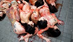 Nazí aktivisté v Barcelon� demonstrovali za práva zví�at