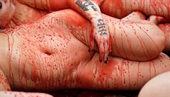 Nazí aktivisté v Barcelon� demonstrovali za práva zví�at