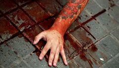 Nazí aktivisté v Barcelon� demonstrovali za práva zví�at