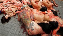 Nazí aktivisté v Barcelon� demonstrovali za práva zví�at