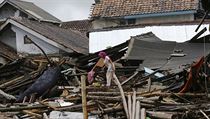 ena uprosted trosek. Niiv vlna tsunami za sebou nechala obrovskou spou.