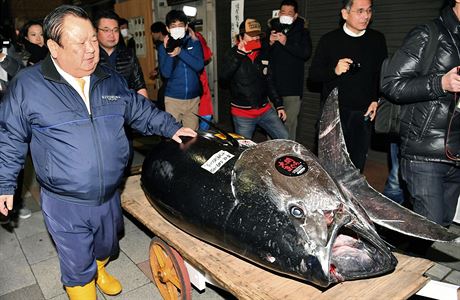 Rybu vydrail japonský majitel etzce sushi restaurací Kijoi Kimura.