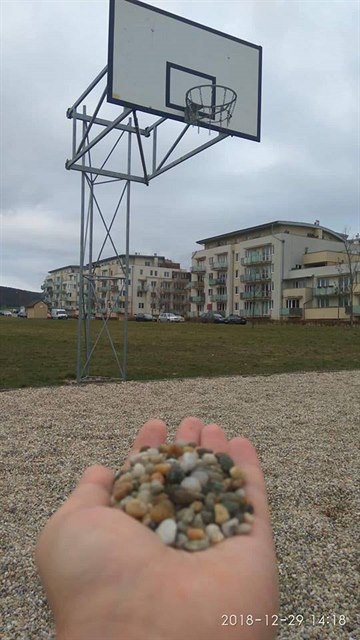 Fotka brnnského hit s basketbalovým koem, která zaujala na sociálních...