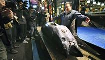 Obří tuňák obecný o hmotnosti 278 kilogramů se na první aukci v novém roce v...