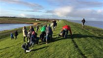 Na ostrov Terschelling pily s klidem na plch pomoci stovky dobrovolnk,...