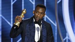 Mahershala Ali získal glóbus za výkon ve vedlejí roli Green Book.