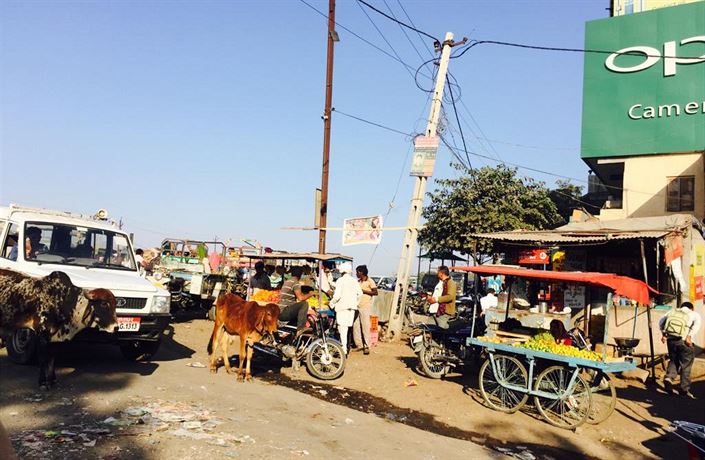 Momentka z m�sta Rád�kót ve stát� Gud�arát. Sem opravdu moc turist� nejezdí.