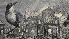 Miroslav Horní�ek: kolá� s názvem Po�ár.