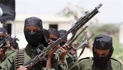 Američané o víkendu zabili 150 somálských džihádistů. Plánovali útok na USA