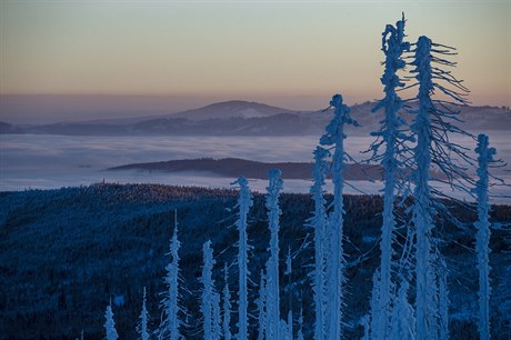 Kníecí stolec je 1236 m.n.m. vysoká hora v jihoeské ásti umavy, ve...