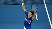 Srb Novak Djokovi slav postup do finle Australian Open.