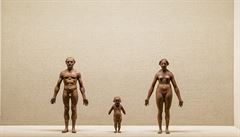 Pohled do výstavy. Wes Anderson a Juman Maloufová - Mumifikovaný rejsek v rakvi...