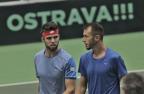 Ji Vesel a Luk Rosol bhem zpasu s Holandskou dvojic Robin Haase,...