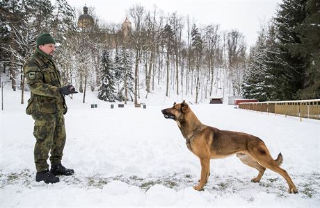 Vojensk kynolog Petr Beka a jeho sluebn pes, kenec belgickho ovka...
