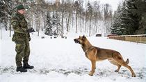 Vojensk kynolog Petr Beka a jeho sluebn pes, kenec belgickho ovka...