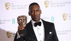 Herec Mahershala Ali byl ocen�n za vedlej�í roli ve snímku Zelená kniha.