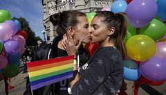 Srbsk patriarcha k prvodu homosexul: Jsou nemocn jako pedofilov 