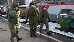 Ruský prezident Vladimir Putin v pátek v Kremlu pochválil ruské vojáky, kteí...