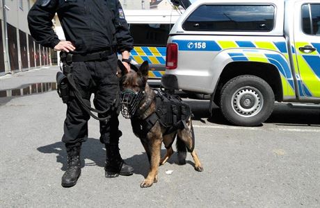 Policie chce lépe chránit své psy. Nakoupila jim desítky neprůstřelných  vest za statisíce | Domov | Lidovky.cz