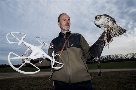 Výcvik dravců pomocí dronu.