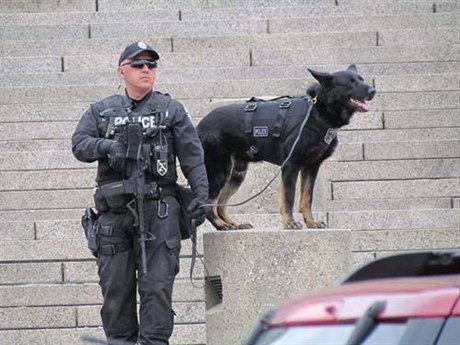 Fotogalerie: Balistické vesty pro služební psy, které policie pořídila v  roce 2016 od...