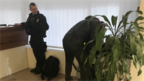 Policist zasahuj v sdle antimonopolnho adu v Praze.