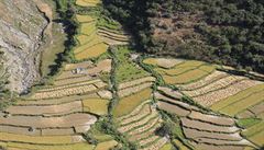 V niích nadmoských výkách jsou k vidní terasovitá rýová políka, Bhútán