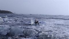 Amerianku odnesl ocen, kdy na Islandu pzovala na kusu ledu ve tvaru trnu