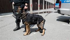 Policie chce lépe chránit své psy. Nakoupila jim desítky neprůstřelných vest za statisíce