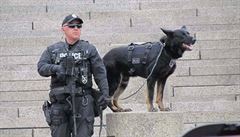 Balistické vesty nosí adu let také sluební psi amerických policist.