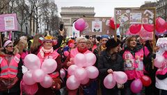 Ke žlutým vestám se přidaly i ,,růžové vesty“, nejen učitelky z mateřských škol. | na serveru Lidovky.cz | aktuální zprávy