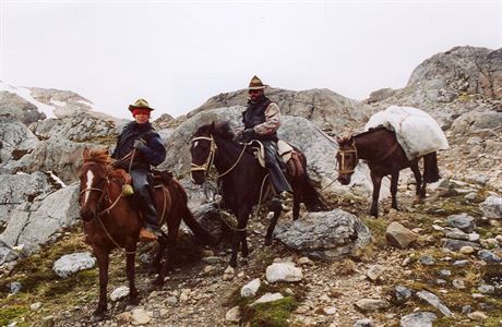 Bhem plroní cesty s komi pes Patagonii